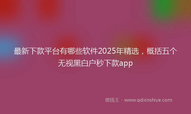 最新下款平台有哪些软件2025年精选，概括五个无视黑白户秒下款app