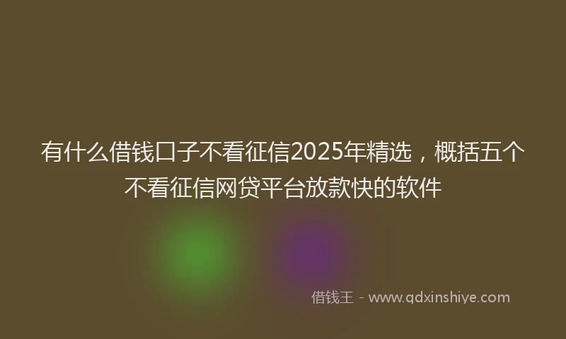 有什么借钱口子不看征信2025年精选，概括五个不看征信网贷平台放款快的软件
