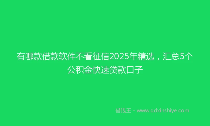 有哪款借款软件不看征信2025年精选，汇总5个公积金快速贷款口子