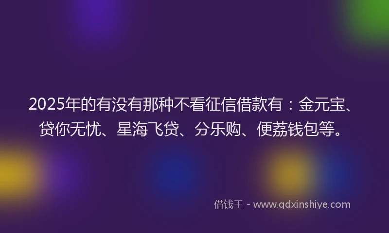 2025年的有没有那种不看征信借款有：金元宝、贷你无忧、星海飞贷、分乐购、便荔钱包等。