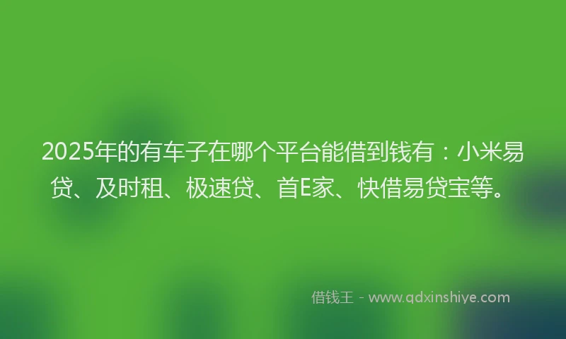 2025年的有车子在哪个平台能借到钱有：小米易贷、及时租、极速贷、首E家、快借易贷宝等。