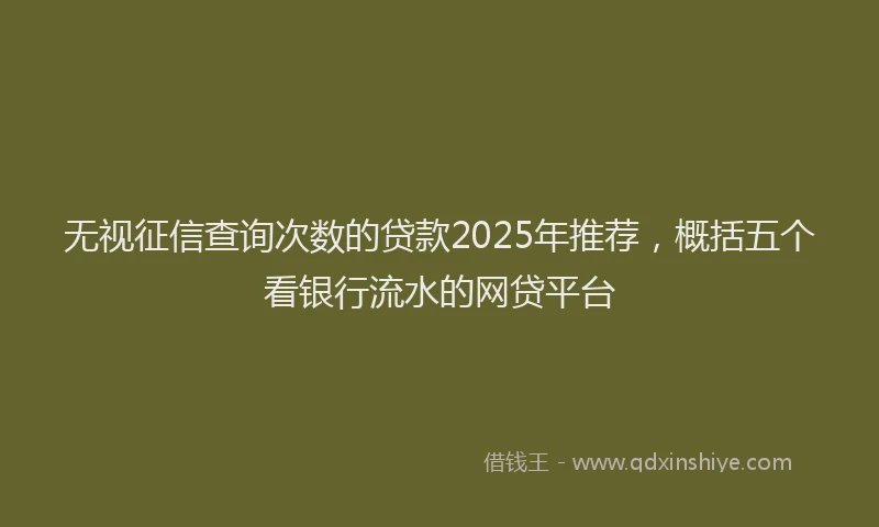 无视征信查询次数的贷款2025年推荐，概括五个看银行流水的网贷平台