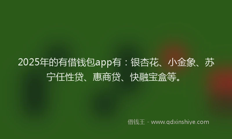 2025年的有借钱包app有：银杏花、小金象、苏宁任性贷、惠商贷、快融宝盒等。