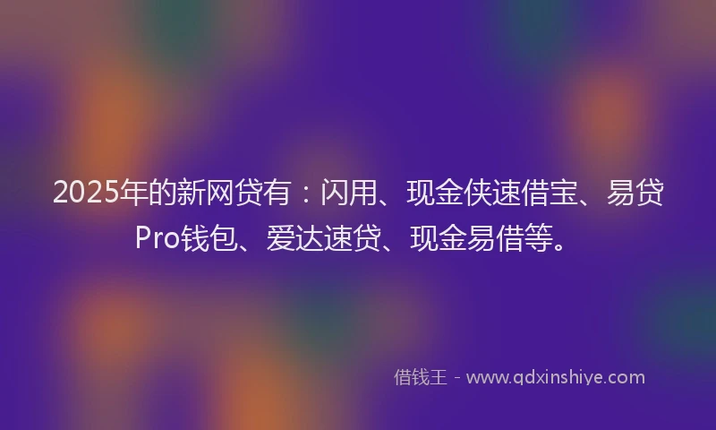 2025年的新网贷有：闪用、现金侠速借宝、易贷Pro钱包、爱达速贷、现金易借等。