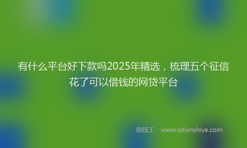 有什么平台好下款吗2025年精选，梳理五个征信花了可以借钱的网贷平台