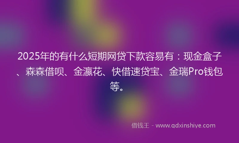 2025年的有什么短期网贷下款容易有：现金盒子、森森借呗、金瀛花、快借速贷宝、金瑞Pro钱包等。