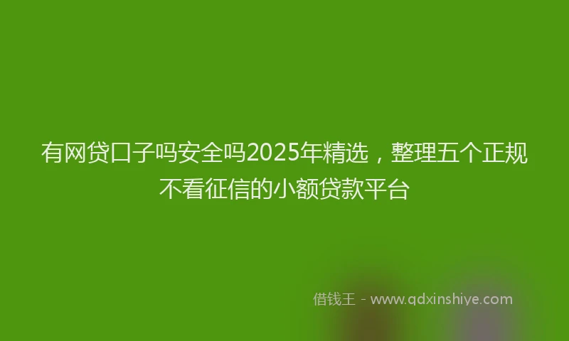 有网贷口子吗安全吗2025年精选，整理五个正规不看征信的小额贷款平台