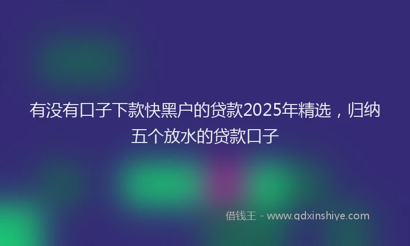 有没有口子下款快黑户的贷款2025年精选，归纳五个放水的贷款口子