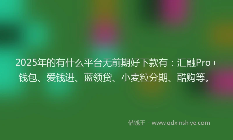 2025年的有什么平台无前期好下款有：汇融Pro+钱包、爱钱进、蓝领贷、小麦粒分期、酷购等。
