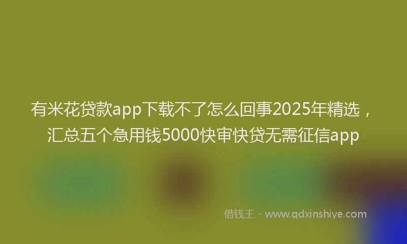 有米花贷款app下载不了怎么回事2025年精选，汇总五个急用钱5000快审快贷无需征信app