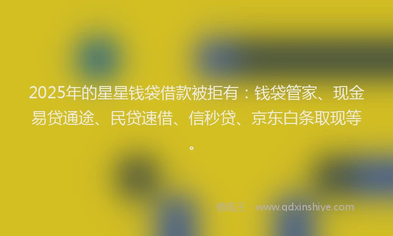 2025年的星星钱袋借款被拒有：钱袋管家、现金易贷通途、民贷速借、信秒贷、京东白条取现等。