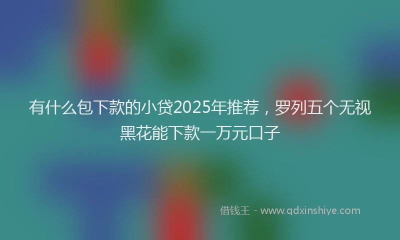 有什么包下款的小贷2025年推荐，罗列五个无视黑花能下款一万元口子