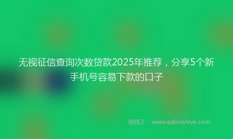 无视征信查询次数贷款2025年推荐，分享5个新手机号容易下款的口子