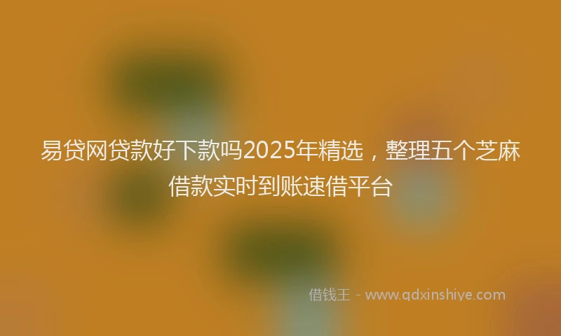 易贷网贷款好下款吗2025年精选，整理五个芝麻借款实时到账速借平台