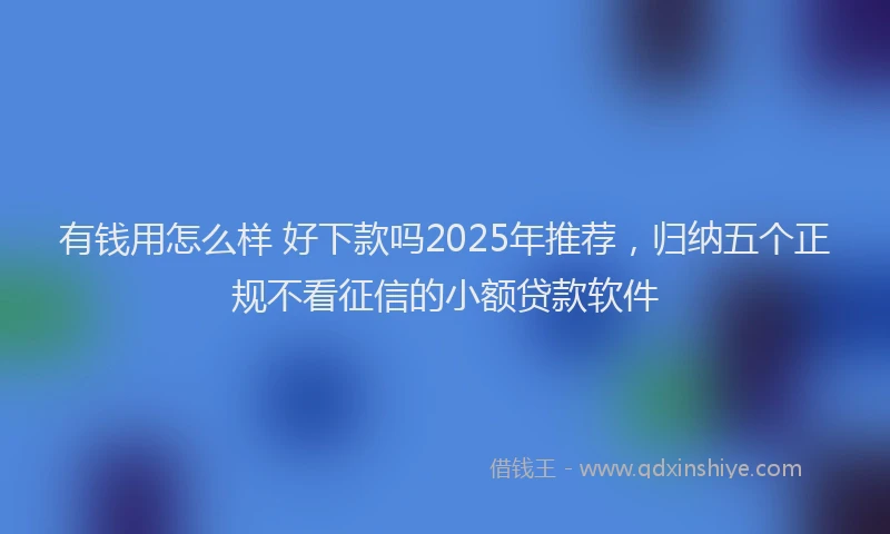 有钱用怎么样 好下款吗2025年推荐，归纳五个正规不看征信的小额贷款软件