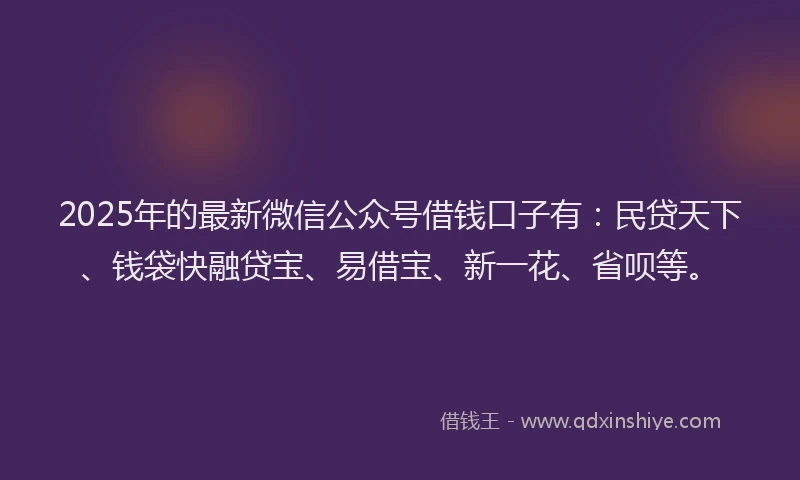 2025年的最新微信公众号借钱口子有：民贷天下、钱袋快融贷宝、易借宝、新一花、省呗等。