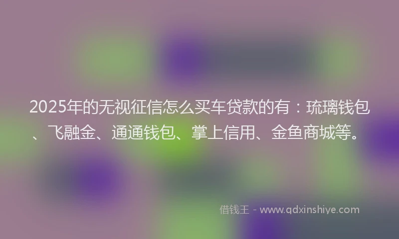 2025年的无视征信怎么买车贷款的有：琉璃钱包、飞融金、通通钱包、掌上信用、金鱼商城等。