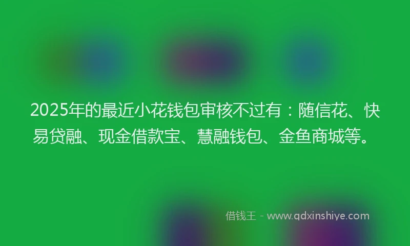 2025年的最近小花钱包审核不过有：随信花、快易贷融、现金借款宝、慧融钱包、金鱼商城等。