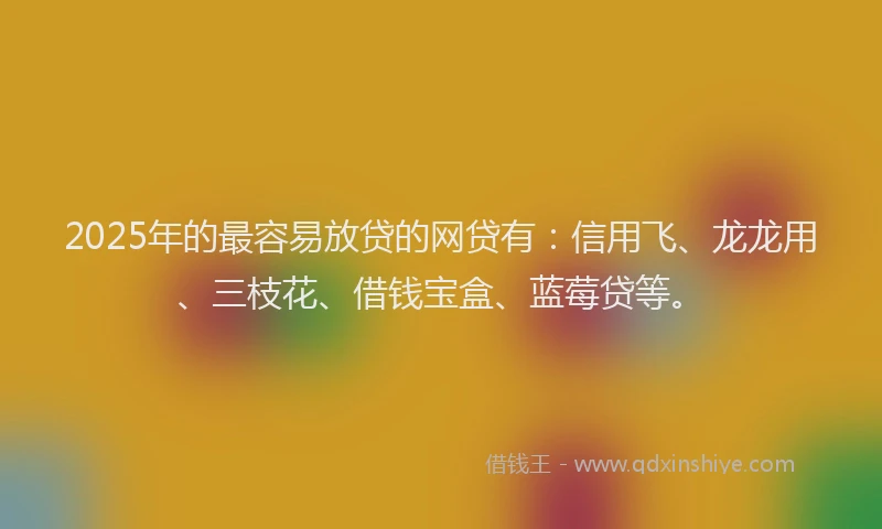 2025年的最容易放贷的网贷有：信用飞、龙龙用、三枝花、借钱宝盒、蓝莓贷等。