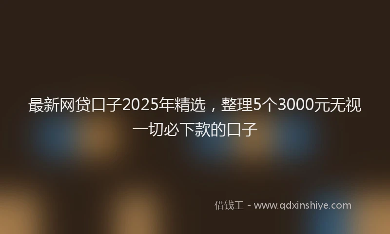 最新网贷口子2025年精选，整理5个3000元无视一切必下款的口子