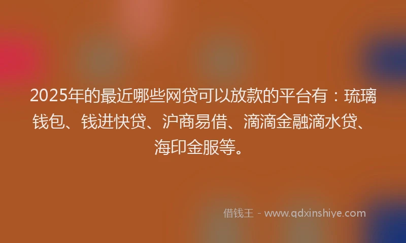 2025年的最近哪些网贷可以放款的平台有：琉璃钱包、钱进快贷、沪商易借、滴滴金融滴水贷、海印金服等。