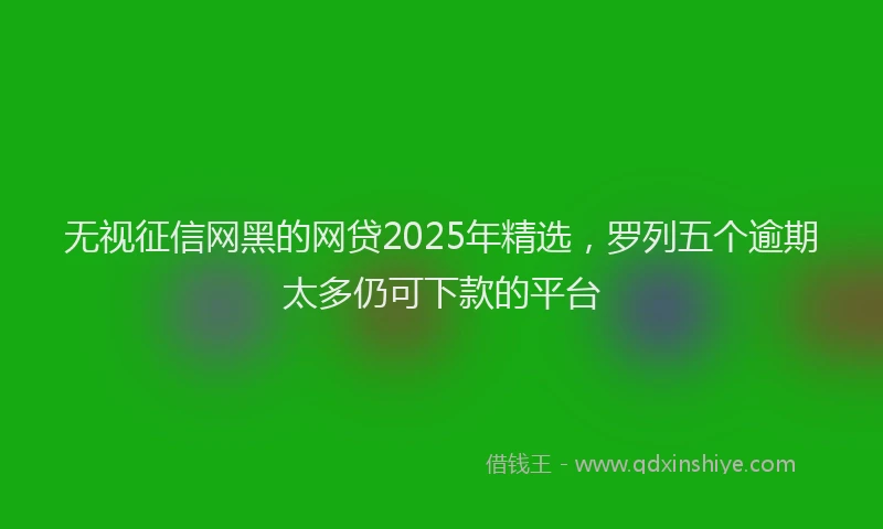无视征信网黑的网贷2025年精选，罗列五个逾期太多仍可下款的平台