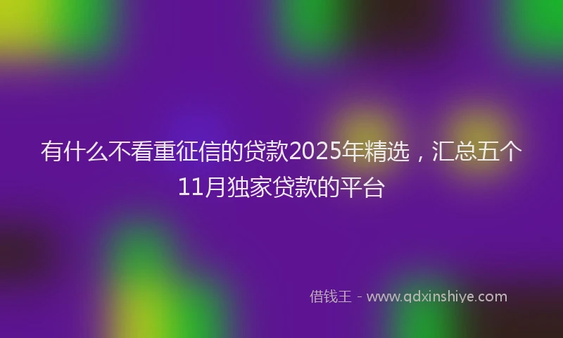 有什么不看重征信的贷款2025年精选，汇总五个11月独家贷款的平台