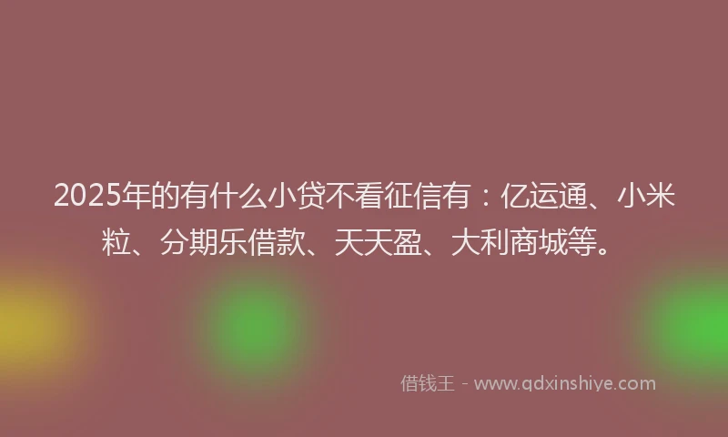 2025年的有什么小贷不看征信有：亿运通、小米粒、分期乐借款、天天盈、大利商城等。