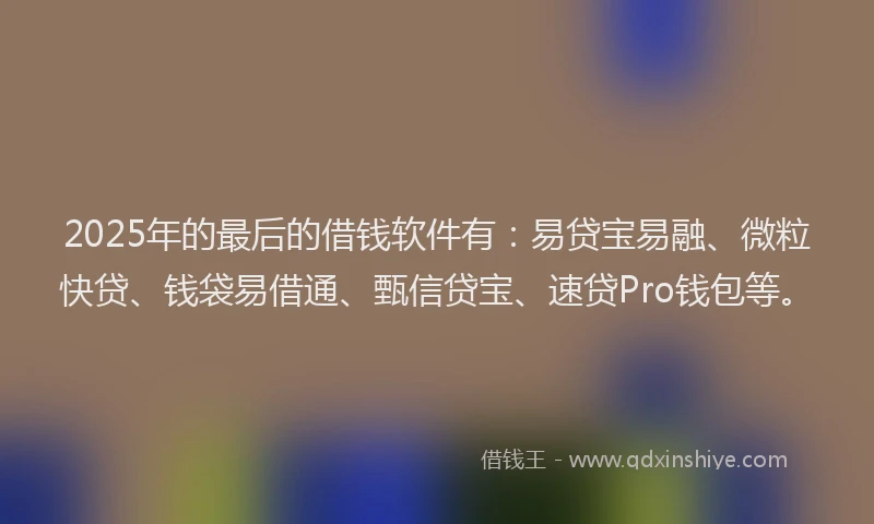 2025年的最后的借钱软件有：易贷宝易融、微粒快贷、钱袋易借通、甄信贷宝、速贷Pro钱包等。