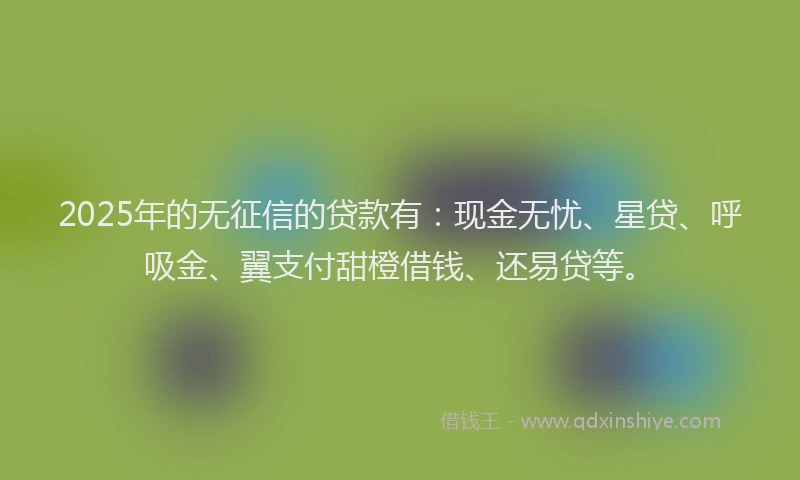 2025年的无征信的贷款有：现金无忧、星贷、呼吸金、翼支付甜橙借钱、还易贷等。