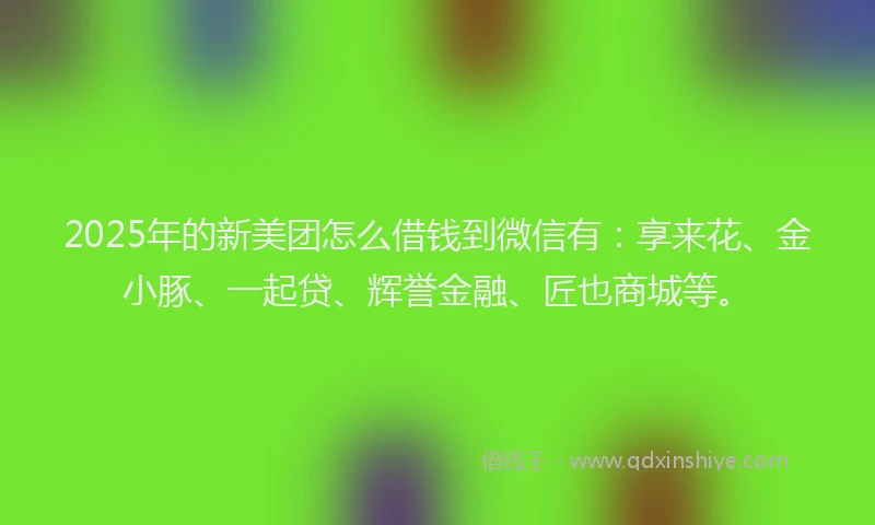 2025年的新美团怎么借钱到微信有：享来花、金小豚、一起贷、辉誉金融、匠也商城等。