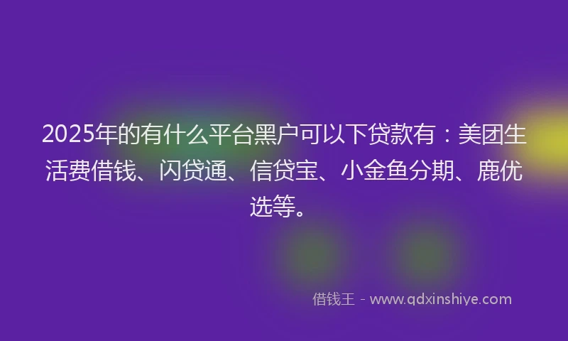 2025年的有什么平台黑户可以下贷款有：美团生活费借钱、闪贷通、信贷宝、小金鱼分期、鹿优选等。