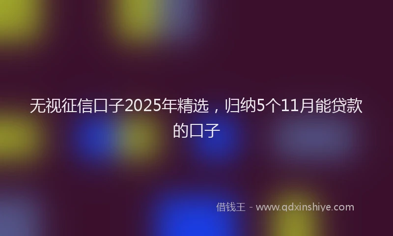 无视征信口子2025年精选，归纳5个11月能贷款的口子