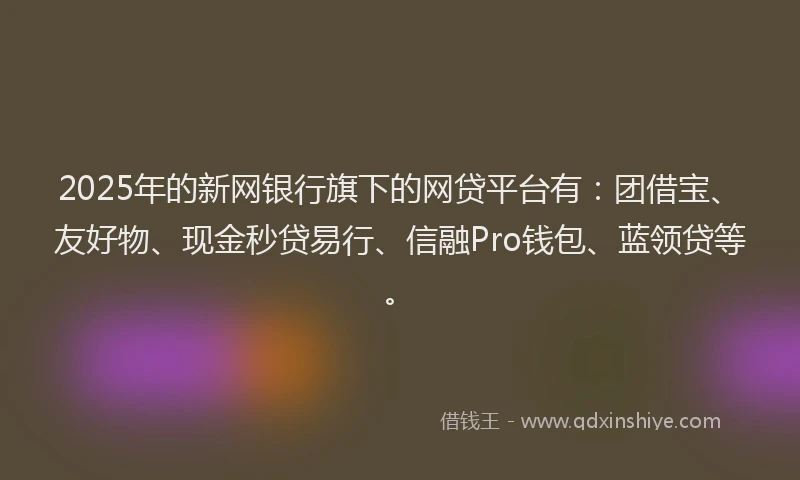 2025年的新网银行旗下的网贷平台有：团借宝、友好物、现金秒贷易行、信融Pro钱包、蓝领贷等。