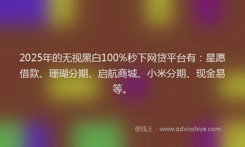 2025年的无视黑白100%秒下网贷平台有：星愿借款、珊瑚分期、启航商城、小米分期、现金易等。