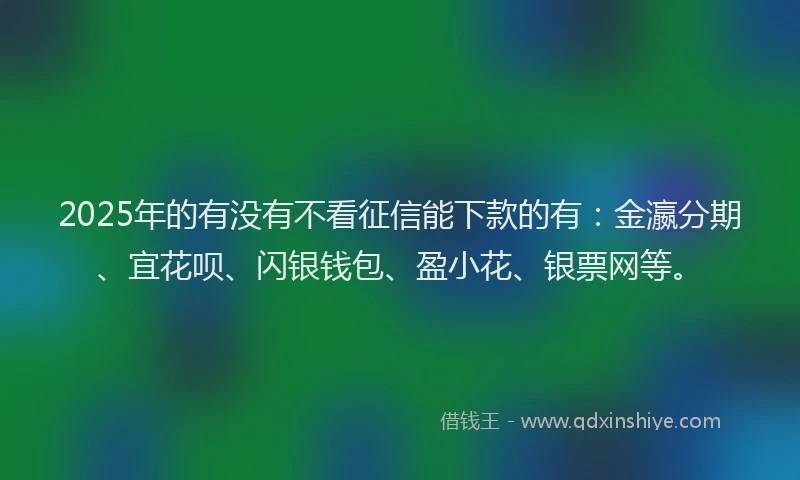 2025年的有没有不看征信能下款的有：金瀛分期、宜花呗、闪银钱包、盈小花、银票网等。