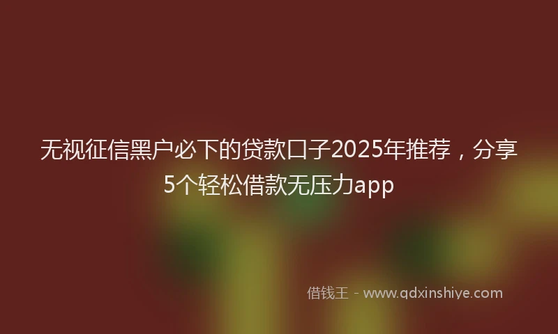 无视征信黑户必下的贷款口子2025年推荐，分享5个轻松借款无压力app