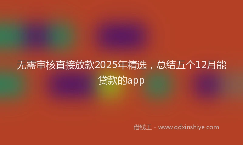 无需审核直接放款2025年精选，总结五个12月能贷款的app