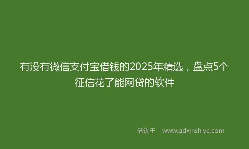 有没有微信支付宝借钱的2025年精选，盘点5个征信花了能网贷的软件