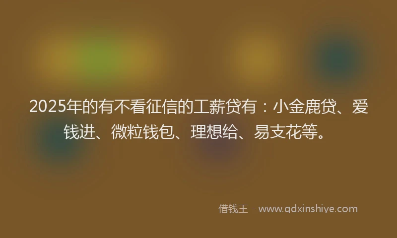 2025年的有不看征信的工薪贷有：小金鹿贷、爱钱进、微粒钱包、理想给、易支花等。