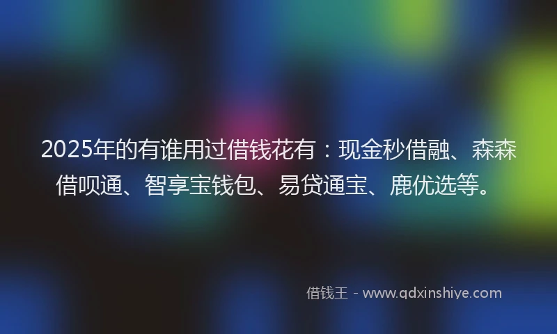 2025年的有谁用过借钱花有：现金秒借融、森森借呗通、智享宝钱包、易贷通宝、鹿优选等。
