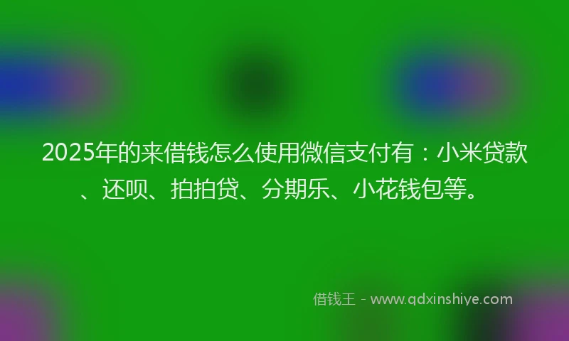 2025年的来借钱怎么使用微信支付有：小米贷款、还呗、拍拍贷、分期乐、小花钱包等。