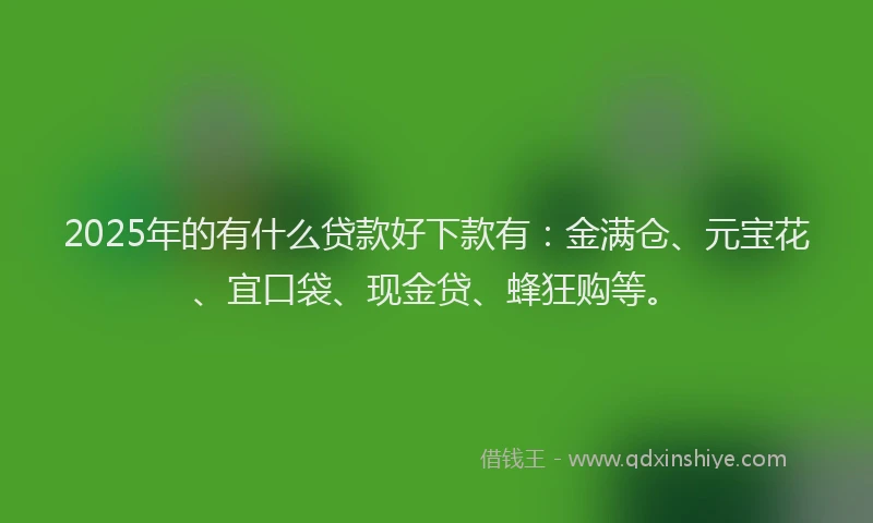 2025年的有什么贷款好下款有：金满仓、元宝花、宜口袋、现金贷、蜂狂购等。