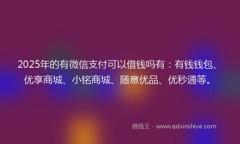 2025年的有微信支付可以借钱吗有：有钱钱包、优享商城、小铭商城、随意优品、优秒通等。