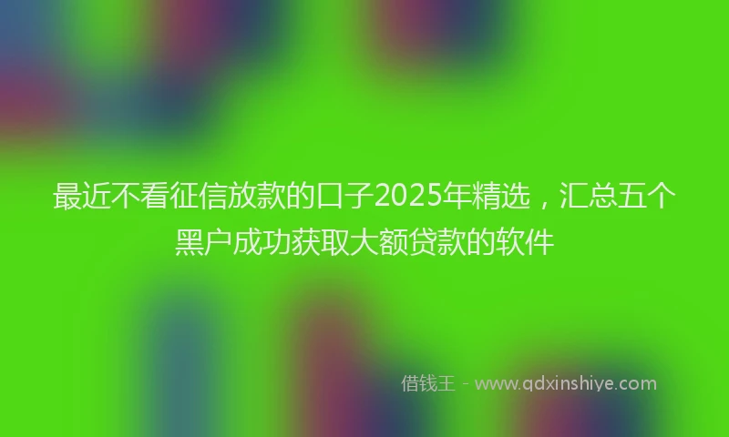 最近不看征信放款的口子2025年精选，汇总五个黑户成功获取大额贷款的软件