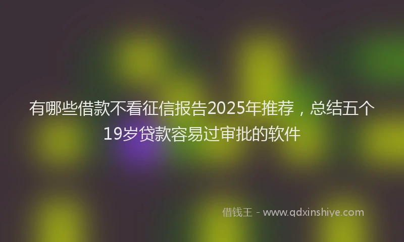 有哪些借款不看征信报告2025年推荐，总结五个19岁贷款容易过审批的软件