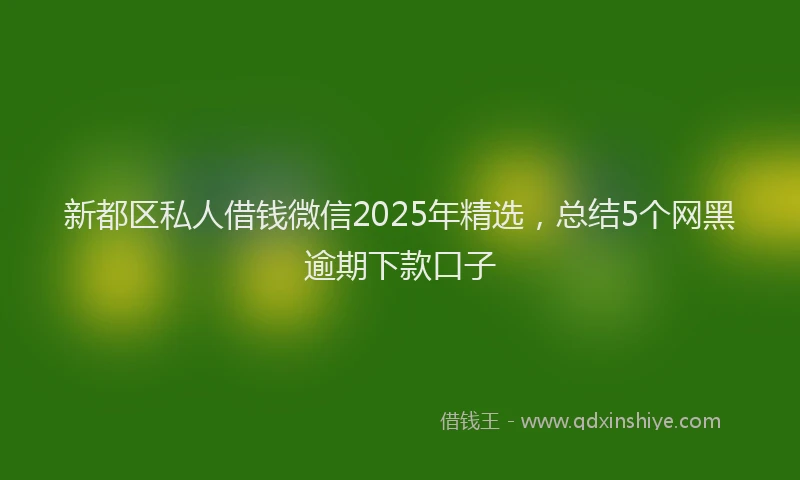 新都区私人借钱微信2025年精选，总结5个网黑逾期下款口子