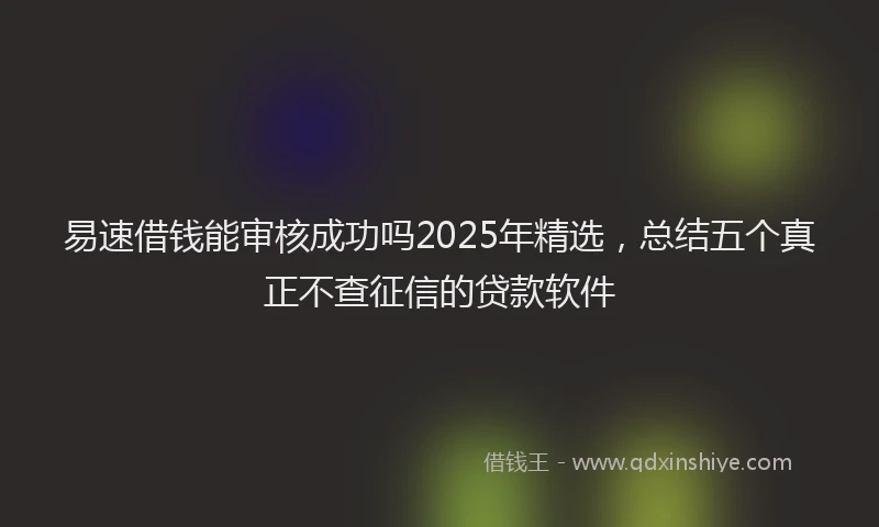 易速借钱能审核成功吗2025年精选，总结五个真正不查征信的贷款软件