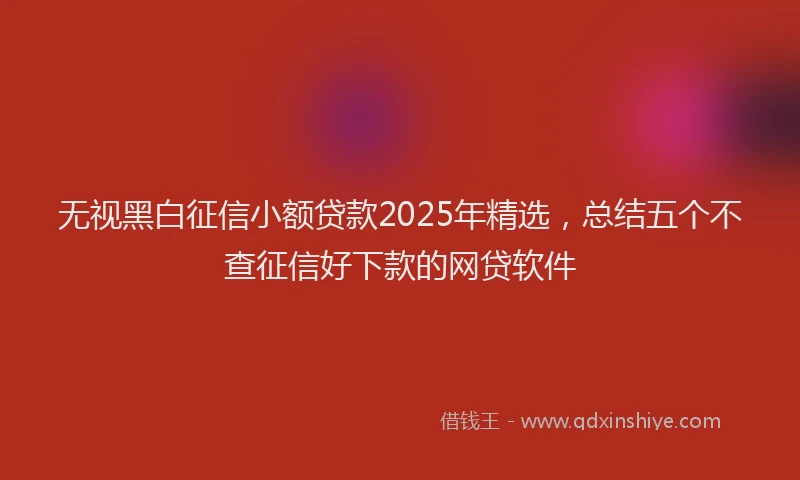 无视黑白征信小额贷款2025年精选，总结五个不查征信好下款的网贷软件