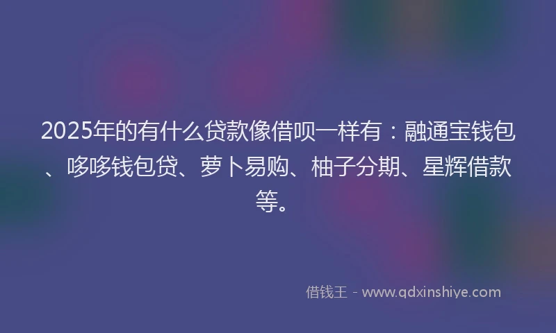 2025年的有什么贷款像借呗一样有：融通宝钱包、哆哆钱包贷、萝卜易购、柚子分期、星辉借款等。